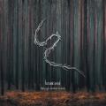 LUNATIC SOUL - Through Shaded Woods (LP, 180 g)