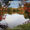 Ludwig van Beethoven  SYMPHONY NO.5 / EGMONT OVERTURE (LP, 180 g)