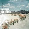 REAMONN - Beautiful Sky (CD)