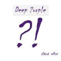 DEEP PURPLE - Now What?! (2*LP)