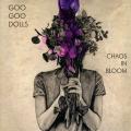 GOO GOO DOLLS – Chaos In Bloom (LP)