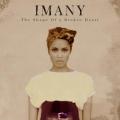Imany - The Shape Of A Broken Heart (2*LP)