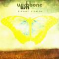 WISHBONE ASH - Elegant Stealth (LP)
